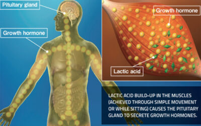 How Can KAATSU Have Hypertrophic Effects with Lower Weights?