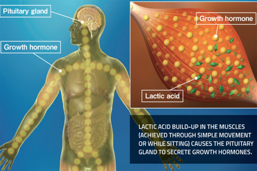 How Can KAATSU Have Hypertrophic Effects with Lower Weights?