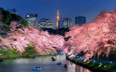 Tokyo Dreaming & KAATSU